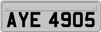 AYE4905