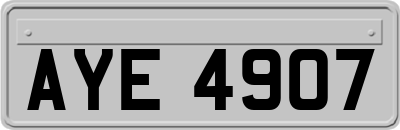 AYE4907