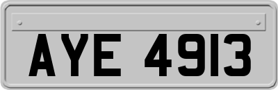 AYE4913