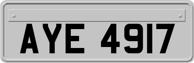 AYE4917