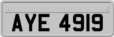 AYE4919