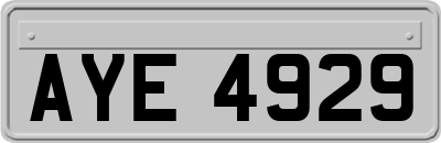 AYE4929