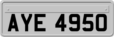 AYE4950