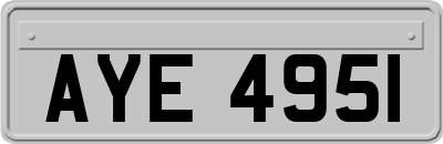 AYE4951