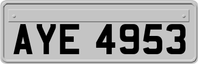 AYE4953