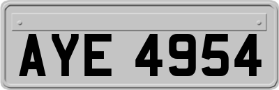 AYE4954