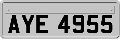 AYE4955