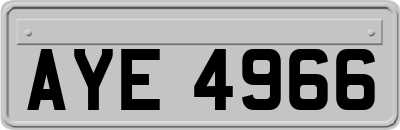 AYE4966