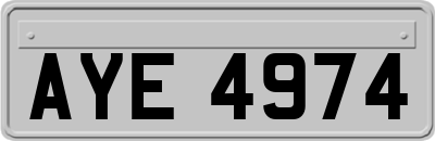 AYE4974