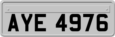 AYE4976