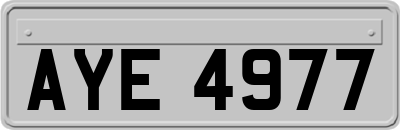 AYE4977