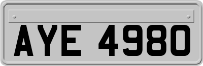 AYE4980