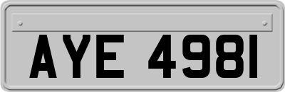 AYE4981