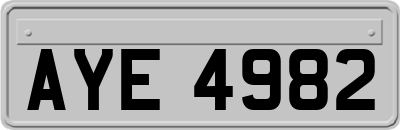 AYE4982