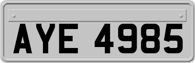 AYE4985
