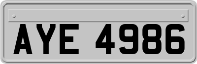 AYE4986