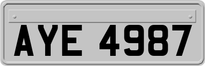 AYE4987