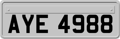 AYE4988