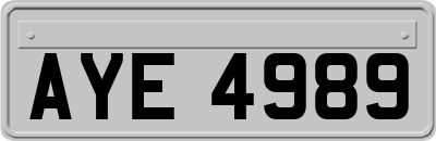 AYE4989
