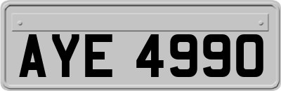 AYE4990