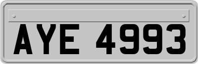 AYE4993