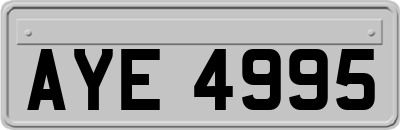 AYE4995