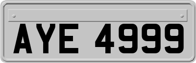 AYE4999
