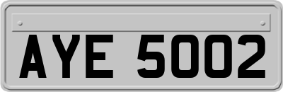 AYE5002