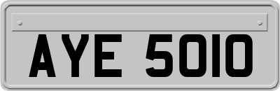 AYE5010