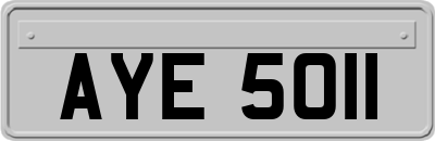 AYE5011
