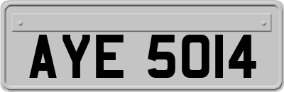 AYE5014