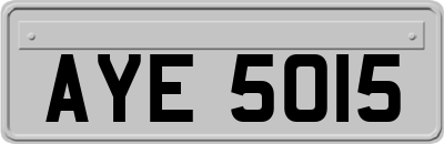 AYE5015