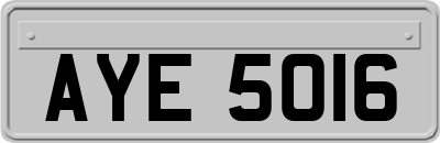 AYE5016