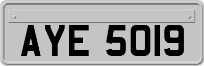 AYE5019