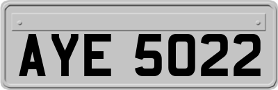 AYE5022