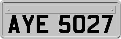AYE5027