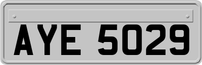 AYE5029