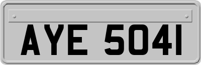 AYE5041