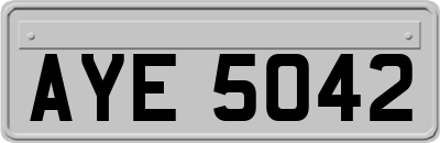 AYE5042