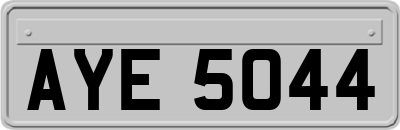 AYE5044
