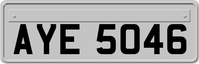 AYE5046
