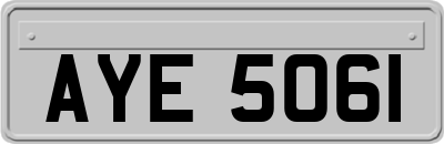 AYE5061