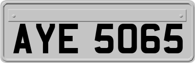 AYE5065
