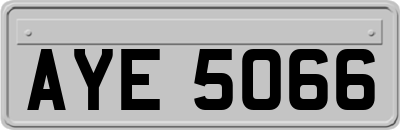 AYE5066