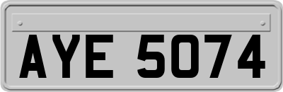 AYE5074