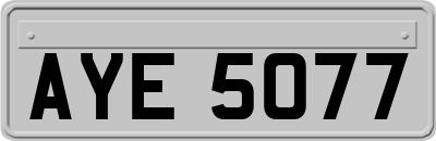 AYE5077