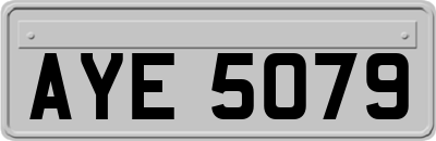 AYE5079