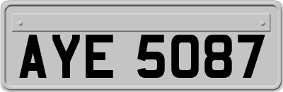 AYE5087