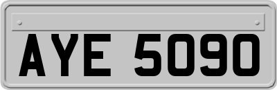AYE5090