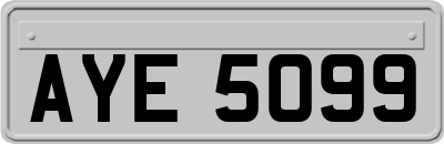 AYE5099